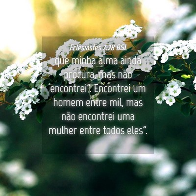Picture 04 - Eclesiastes 7:28 BSL - que minha alma ainda procura, mas não - Bible Verse Picture