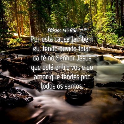 Picture 04 - Efésios 1:15 BSL - Por esta causa também eu, tendo ouvido falar da - Bible Verse Picture