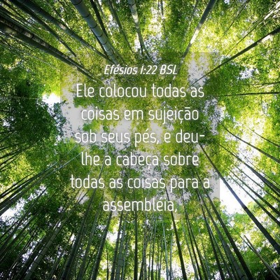 Picture 04 - Efésios 1:22 BSL - Ele colocou todas as coisas em sujeição sob - Bible Verse Picture