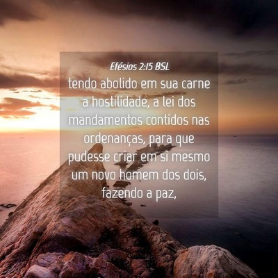 Picture 04 - Efésios 2:15 BSL - tendo abolido em sua carne a hostilidade, a lei - Bible Verse Picture