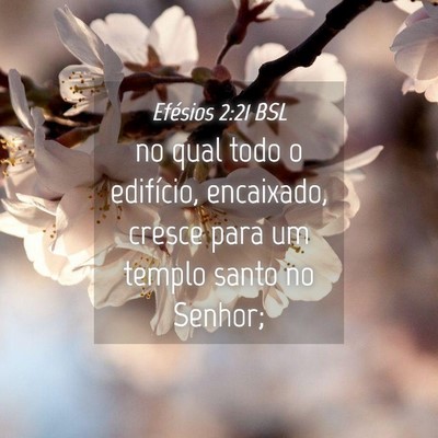Picture 04 - Efésios 2:21 BSL - no qual todo o edifício, encaixado, cresce para - Bible Verse Picture