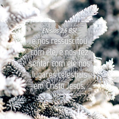 Picture 04 - Efésios 2:6 BSL - e nos ressuscitou com ele, e nos fez sentar com - Bible Verse Picture