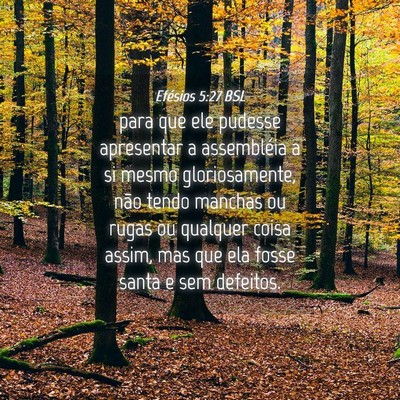 Picture 04 - Efésios 5:27 BSL - para que ele pudesse apresentar a assembléia a - Bible Verse Picture
