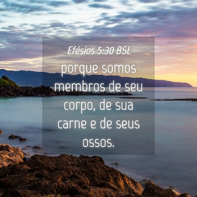 Picture 04 - Efésios 5:30 BSL - porque somos membros de seu corpo, de sua carne e - Bible Verse Picture