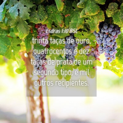 Picture 04 - Esdras 1:10 BSL - trinta taças de ouro, quatrocentos e dez taças - Bible Verse Picture