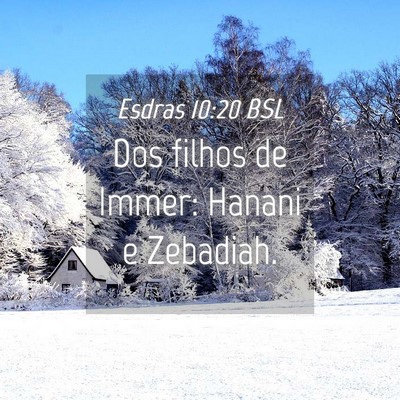 Picture 04 - Esdras 10:20 BSL - Dos filhos de Immer: Hanani e - Bible Verse Picture