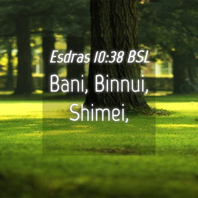 Picture 04 - Esdras 10:38 BSL - Bani, Binnui, - Bible Verse Picture