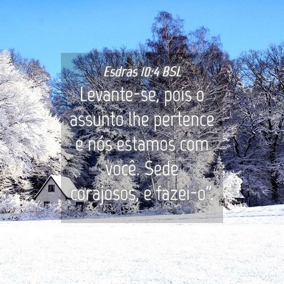 Picture 04 - Esdras 10:4 BSL - Levante-se, pois o assunto lhe pertence e nós - Bible Verse Picture