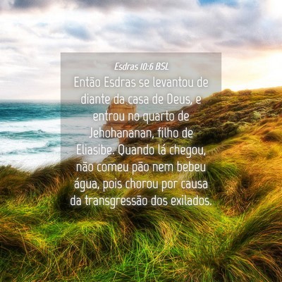 Picture 04 - Esdras 10:6 BSL - Então Esdras se levantou de diante da casa de - Bible Verse Picture