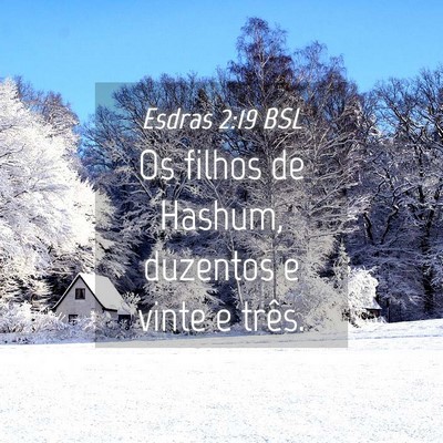 Picture 04 - Esdras 2:19 BSL - Os filhos de Hashum, duzentos e vinte e - Bible Verse Picture