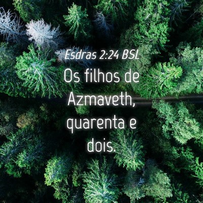 Picture 04 - Esdras 2:24 BSL - Os filhos de Azmaveth, quarenta e - Bible Verse Picture