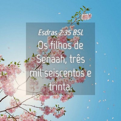 Picture 04 - Esdras 2:35 BSL - Os filhos de Senaah, três mil seiscentos e - Bible Verse Picture
