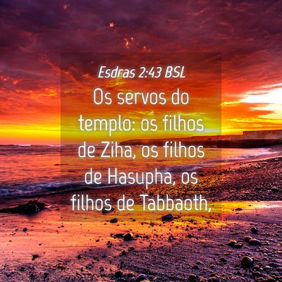 Picture 04 - Esdras 2:43 BSL - Os servos do templo: os filhos de Ziha, os filhos - Bible Verse Picture
