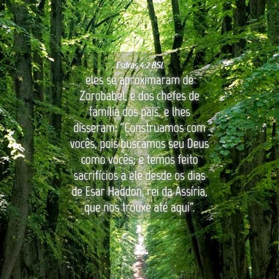Picture 04 - Esdras 4:2 BSL - eles se aproximaram de Zorobabel, e dos chefes de - Bible Verse Picture