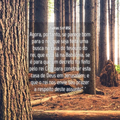 Picture 04 - Esdras 5:17 BSL - Agora, portanto, se parece bom para o rei, que - Bible Verse Picture