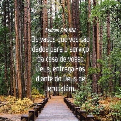 Picture 04 - Esdras 7:19 BSL - Os vasos que vos são dados para o serviço da - Bible Verse Picture