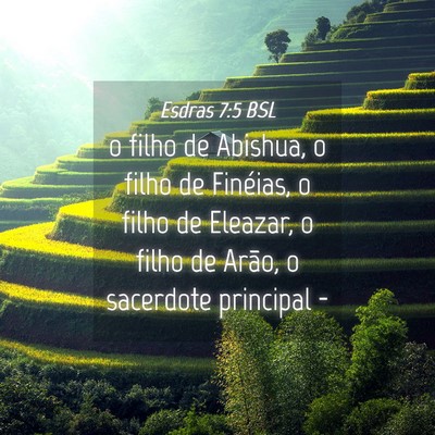 Picture 04 - Esdras 7:5 BSL - o filho de Abishua, o filho de Finéias, o filho - Bible Verse Picture