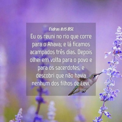 Picture 04 - Esdras 8:15 BSL - Eu os reuni no rio que corre para o Ahava; e lá - Bible Verse Picture