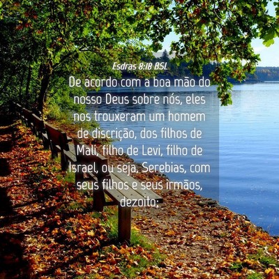 Picture 04 - Esdras 8:18 BSL - De acordo com a boa mão do nosso Deus sobre - Bible Verse Picture