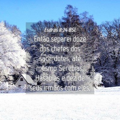 Picture 04 - Esdras 8:24 BSL - Então separei doze dos chefes dos sacerdotes, - Bible Verse Picture