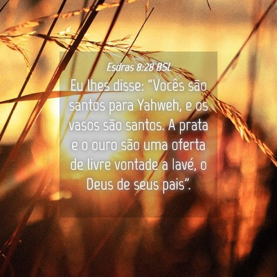 Picture 04 - Esdras 8:28 BSL - Eu lhes disse: “Vocês são santos para Yahweh, - Bible Verse Picture