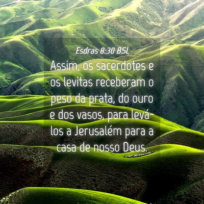 Picture 04 - Esdras 8:30 BSL - Assim, os sacerdotes e os levitas receberam o - Bible Verse Picture