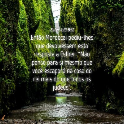 Picture 04 - Ester 4:13 BSL - Então Mordecai pediu-lhes que devolvessem esta - Bible Verse Picture