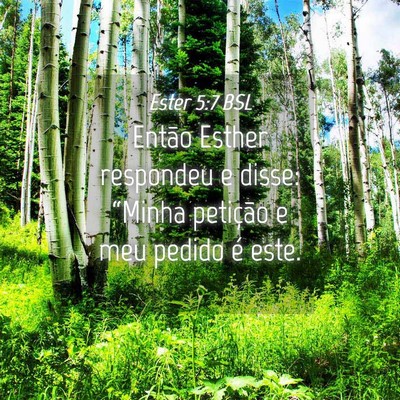 Picture 04 - Ester 5:7 BSL - Então Esther respondeu e disse: “Minha - Bible Verse Picture