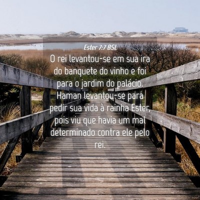 Picture 04 - Ester 7:7 BSL - O rei levantou-se em sua ira do banquete do vinho - Bible Verse Picture