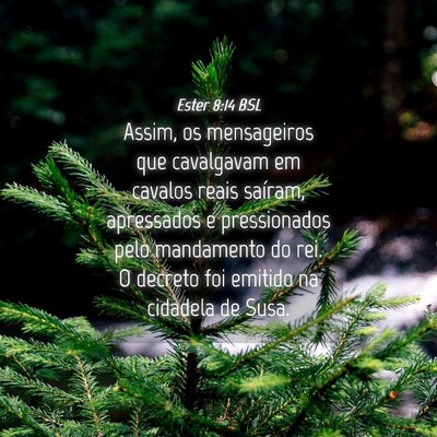 Picture 04 - Ester 8:14 BSL - Assim, os mensageiros que cavalgavam em cavalos - Bible Verse Picture