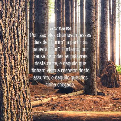 Picture 04 - Ester 9:26 BSL - Por isso eles chamavam esses dias de “Purim”, - Bible Verse Picture