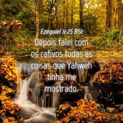 Picture 04 - Ezequiel 11:25 BSL - Depois falei com os cativos todas as coisas que - Bible Verse Picture