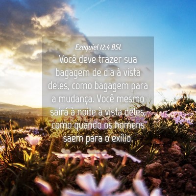 Picture 04 - Ezequiel 12:4 BSL - Você deve trazer sua bagagem de dia à vista - Bible Verse Picture