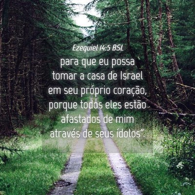 Picture 04 - Ezequiel 14:5 BSL - para que eu possa tomar a casa de Israel em seu - Bible Verse Picture