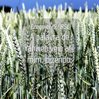 Picture 04 - Ezequiel 15:1 BSL - A palavra de Yahweh veio até mim, - Bible Verse Picture