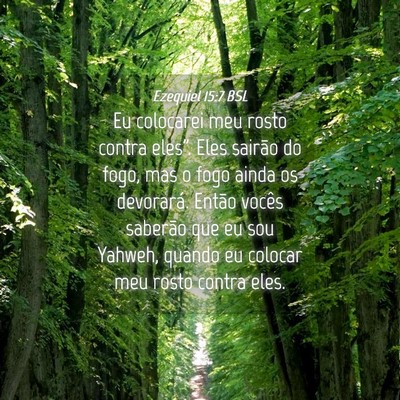 Picture 04 - Ezequiel 15:7 BSL - Eu colocarei meu rosto contra eles”. Eles - Bible Verse Picture