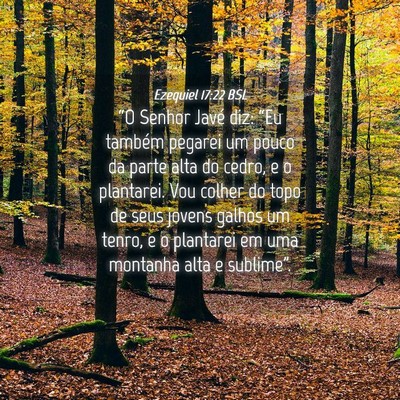 Picture 04 - Ezequiel 17:22 BSL - “O Senhor Javé diz: “Eu também pegarei um - Bible Verse Picture
