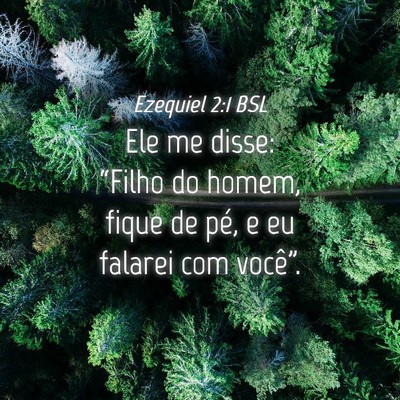 Picture 04 - Ezequiel 2:1 BSL - Ele me disse: “Filho do homem, fique de pé, e - Bible Verse Picture