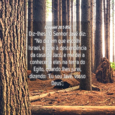 Picture 04 - Ezequiel 20:5 BSL - Diz-lhes: 'O Senhor Javé diz: “No dia em que - Bible Verse Picture