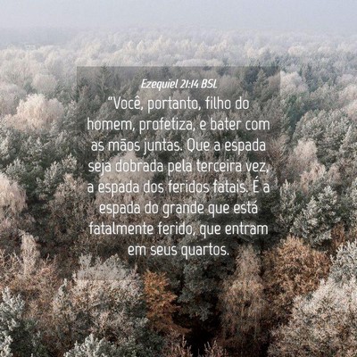 Picture 04 - Ezequiel 21:14 BSL - “Você, portanto, filho do homem, profetiza, e - Bible Verse Picture