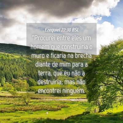 Picture 04 - Ezequiel 22:30 BSL - “Procurei entre eles um homem que construiria o - Bible Verse Picture