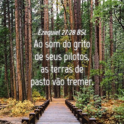 Picture 04 - Ezequiel 27:28 BSL - Ao som do grito de seus pilotos, as terras de - Bible Verse Picture