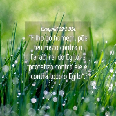 Picture 04 - Ezequiel 29:2 BSL - “Filho do homem, põe teu rosto contra o - Bible Verse Picture
