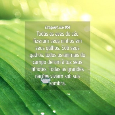 Picture 04 - Ezequiel 31:6 BSL - Todas as aves do céu fizeram seus ninhos em seus - Bible Verse Picture