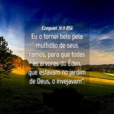 Picture 04 - Ezequiel 31:9 BSL - Eu o tornei belo pela multidão de seus ramos, - Bible Verse Picture