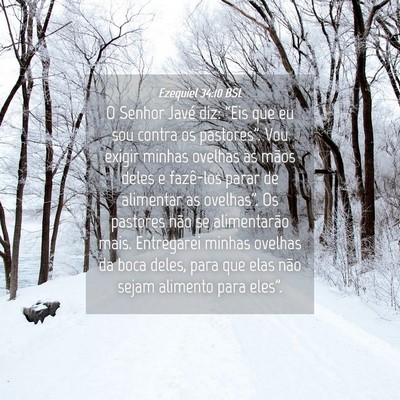 Picture 04 - Ezequiel 34:10 BSL - O Senhor Javé diz: “Eis que eu sou contra os - Bible Verse Picture