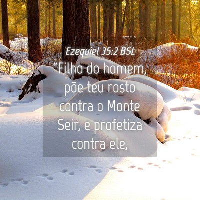 Picture 04 - Ezequiel 35:2 BSL - “Filho do homem, põe teu rosto contra o Monte - Bible Verse Picture