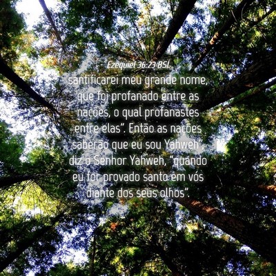 Picture 04 - Ezequiel 36:23 BSL - santificarei meu grande nome, que foi profanado - Bible Verse Picture