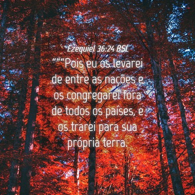 Picture 04 - Ezequiel 36:24 BSL - “““Pois eu os levarei de entre as nações - Bible Verse Picture