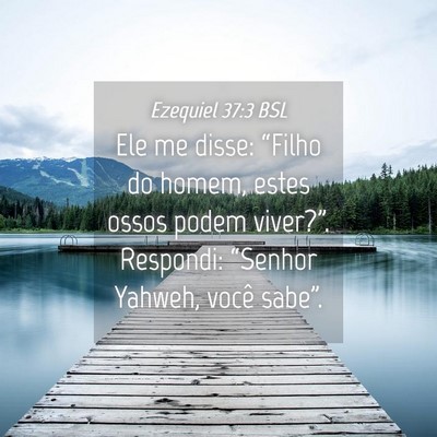 Picture 04 - Ezequiel 37:3 BSL - Ele me disse: “Filho do homem, estes ossos - Bible Verse Picture